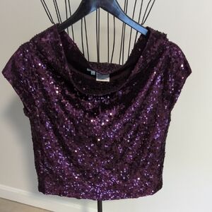 Carlisle Shimmering Purple Sequin Blouse